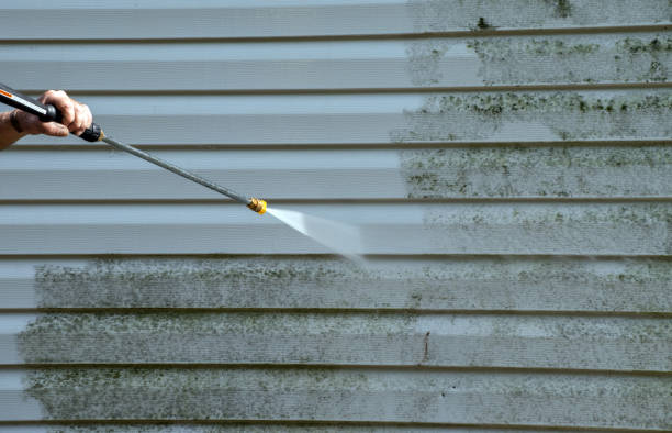 Best Mold Cleaning Services  in Lowell, MI