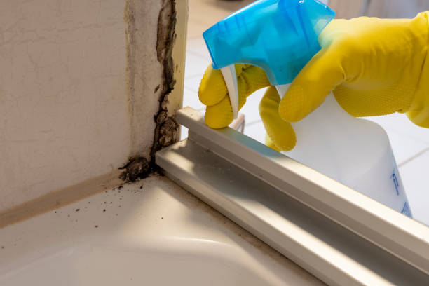 Best Mold Testing  in Lowell, MI