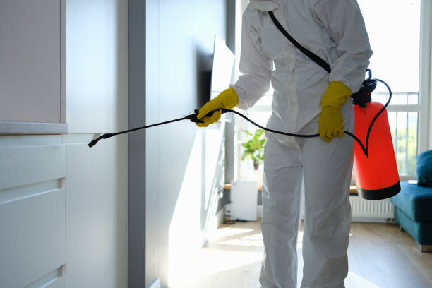 Best Mold Testing  in Lowell, MI