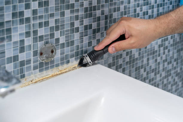 Best Black Mold Removal  in Lowell, MI