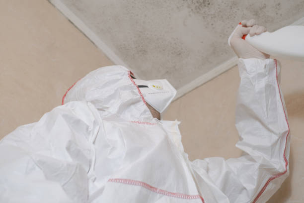 Best Toxic Mold Removal  in Lowell, MI