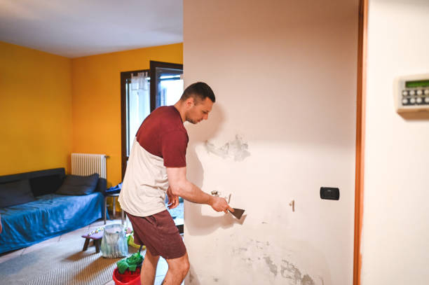 Best Local Mold Removal Service  in Lowell, MI